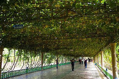 《雷纳提斯》曝光新预告 新预告5月9日发布